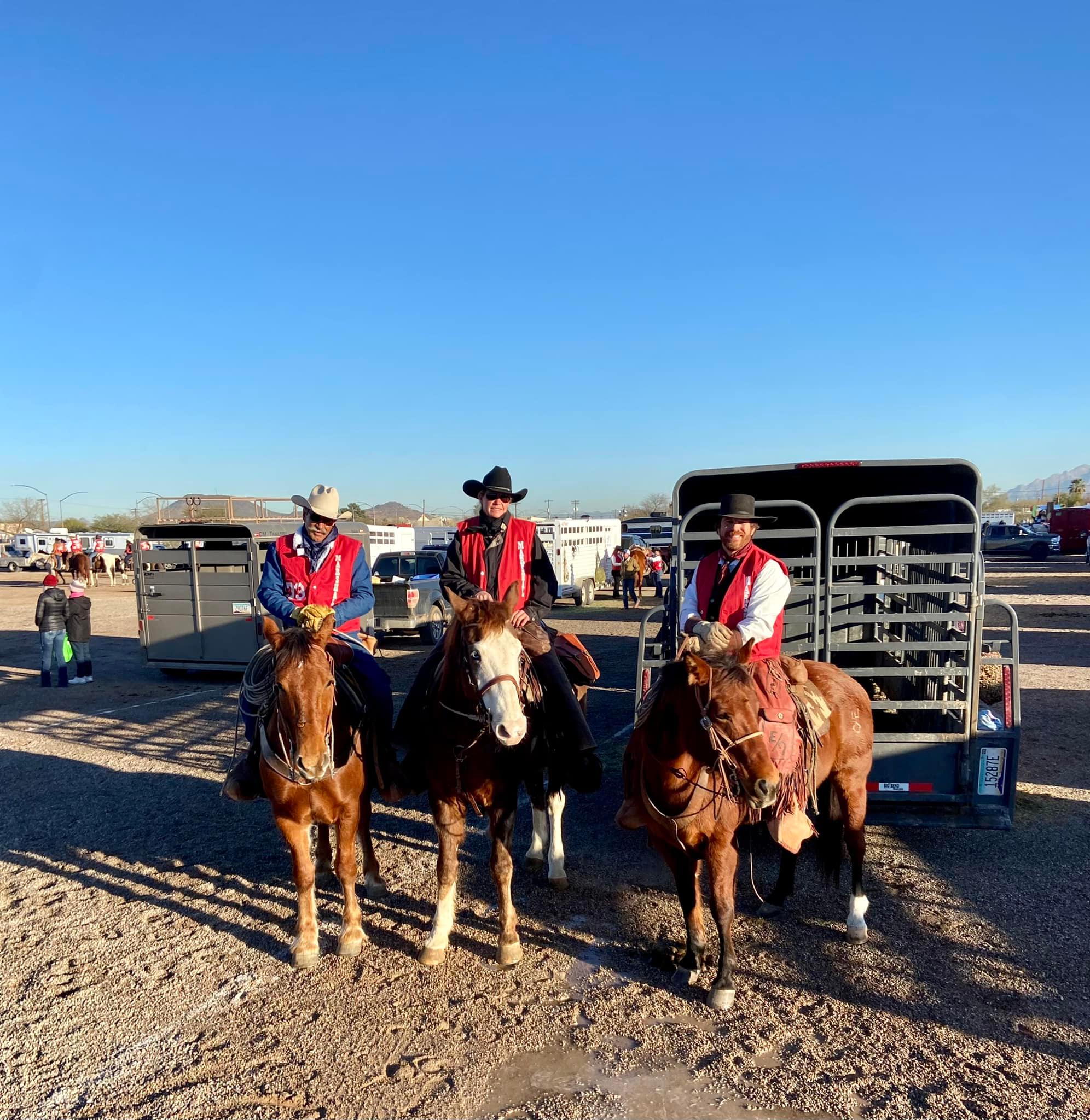 Elliston Equine Solutions Education, Dedication, Equine Solutions