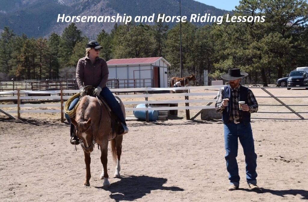 Elliston Equine Solutions Education, Dedication, Equine Solutions